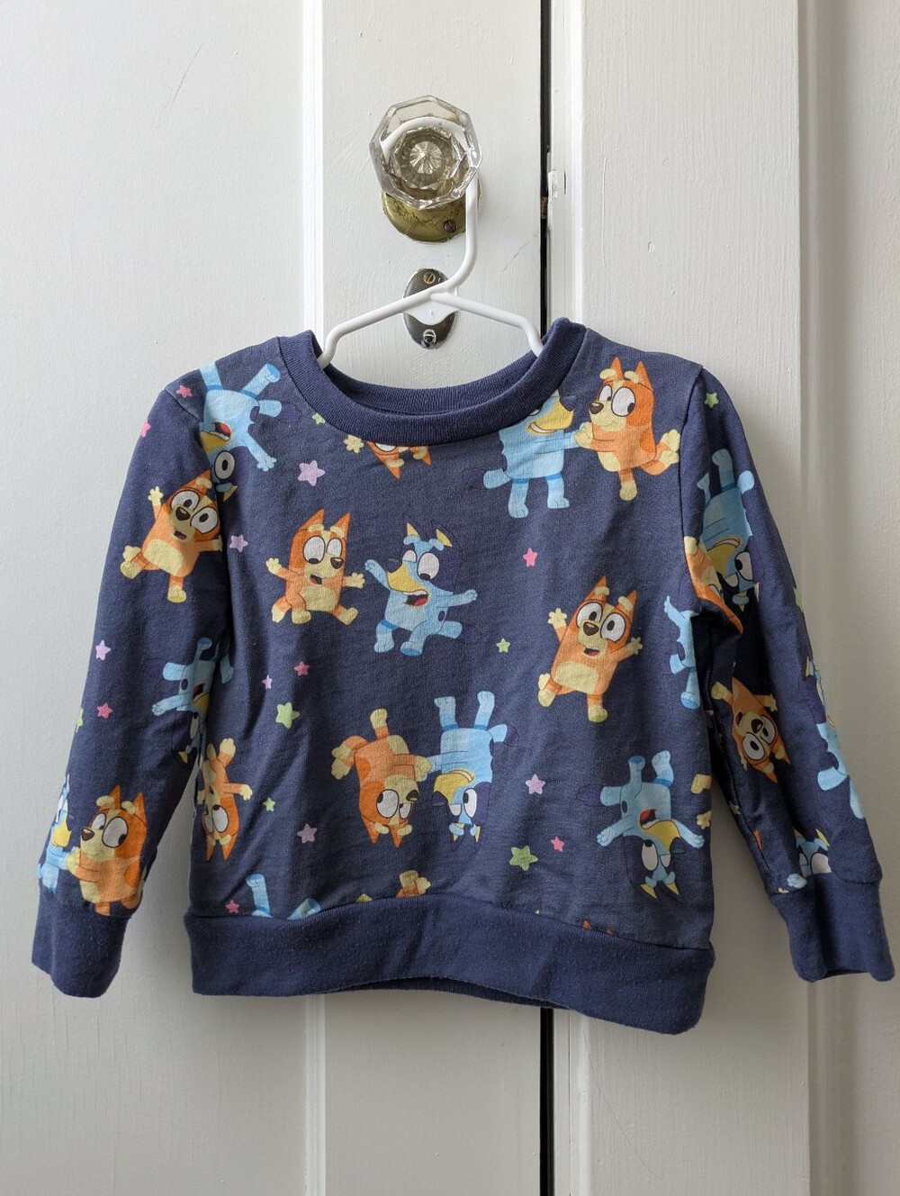 3T Bluey/Bingo Long-Sleeve Pullover Sweatshirt